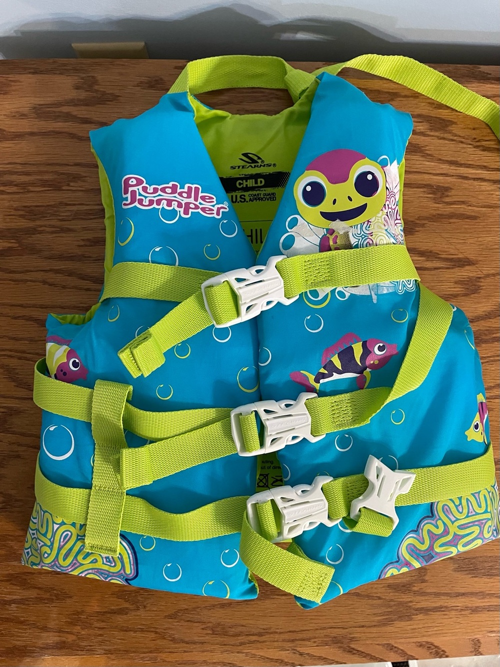 Swim Vest and. Blue Shark Flops!